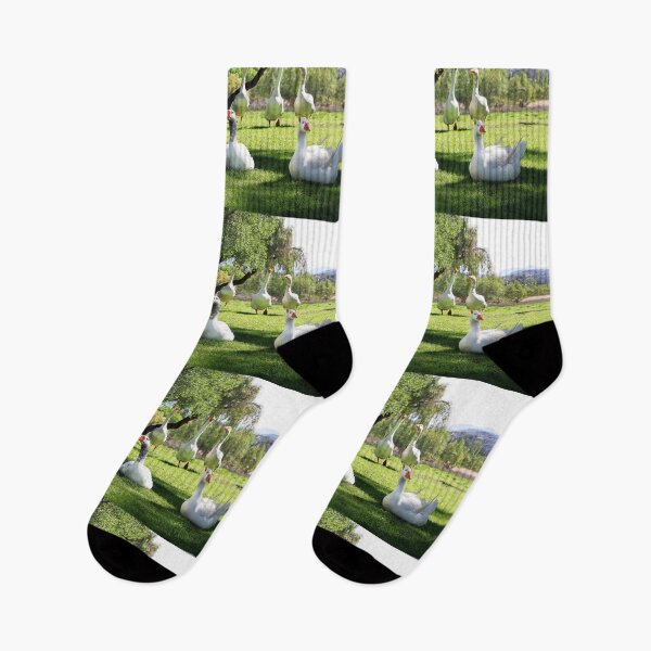 Item preview, The Park Greeters, Welcome to Lindo Lake Park! designed and sold by heatherfriedman.