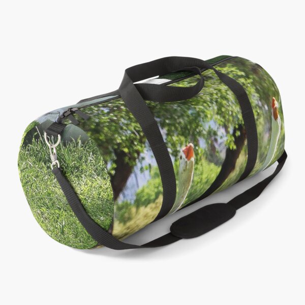 Item preview, The Park Greeters, Welcome to Lindo Lake Park! designed and sold by heatherfriedman.