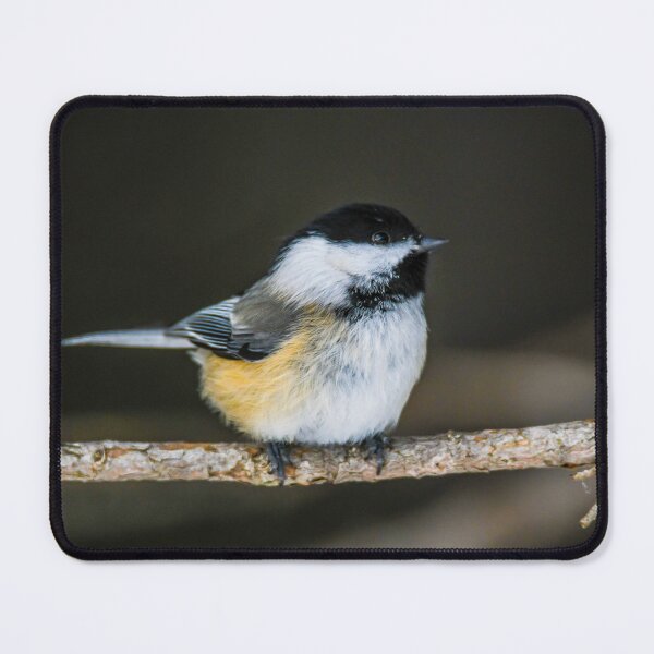 Item preview, Chick a Dee Dee Dee  designed and sold by KennyBImages899.