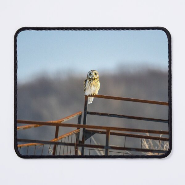 Item preview, Short Eared Owl designed and sold by KennyBImages899.