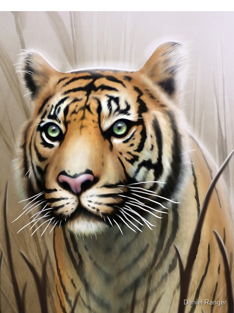 Tiger by Dragon84