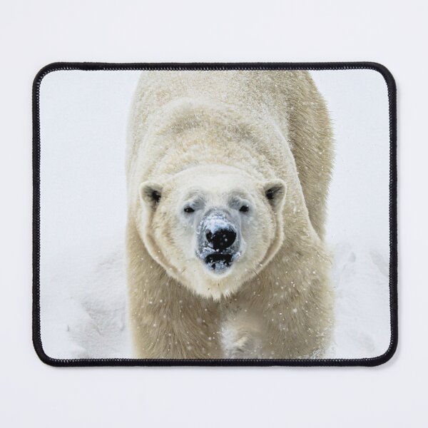 Item preview, On your nose designed and sold by KennyBImages899.
