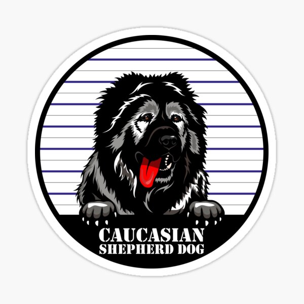 Caucasians Stickers for Sale