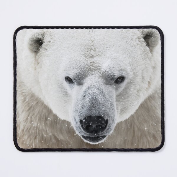 Item preview, Stare Down designed and sold by KennyBImages899.