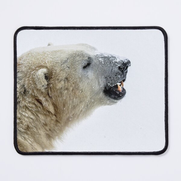 Item preview, Pearly Whites designed and sold by KennyBImages899.