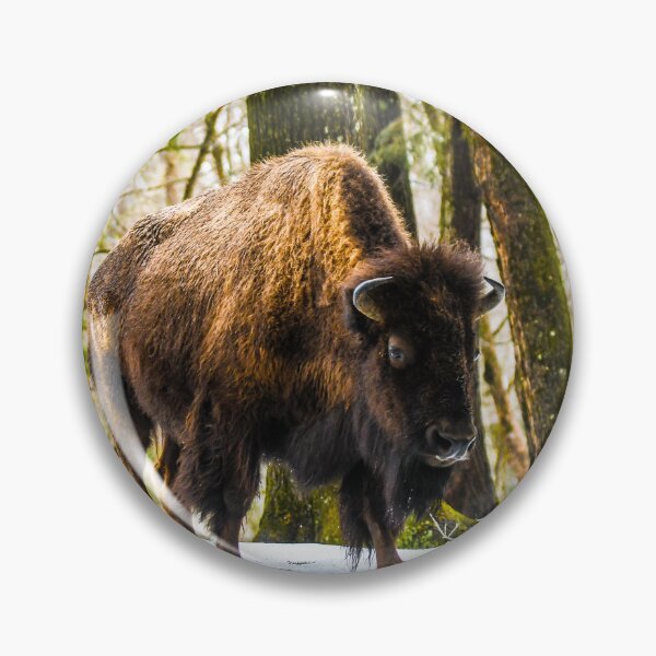 Item preview, Buffalo designed and sold by KennyBImages899.