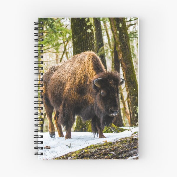 Item preview, Buffalo designed and sold by KennyBImages899.