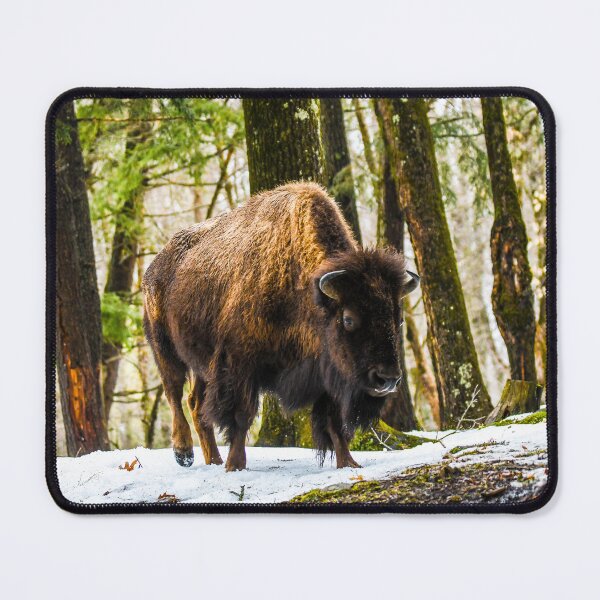 Item preview, Buffalo designed and sold by KennyBImages899.
