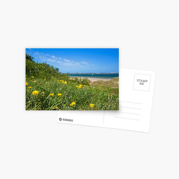 Shore Postcard