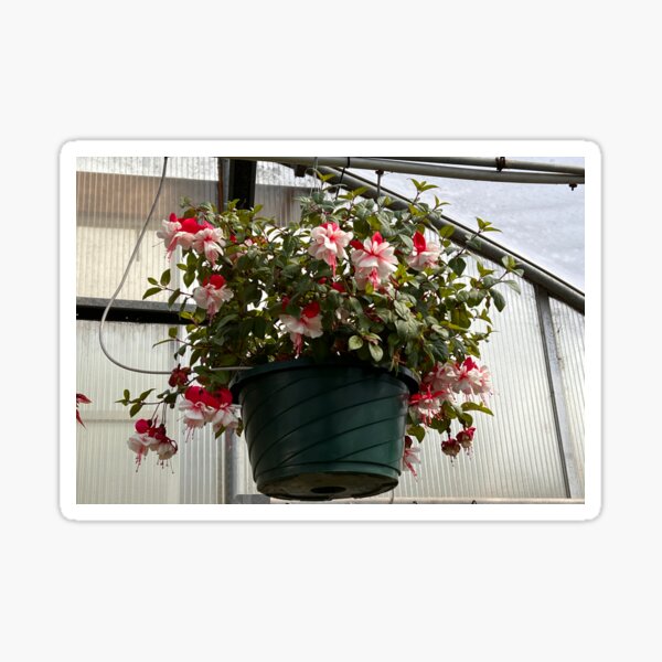 Pretty Pink Flower Basket Sticker