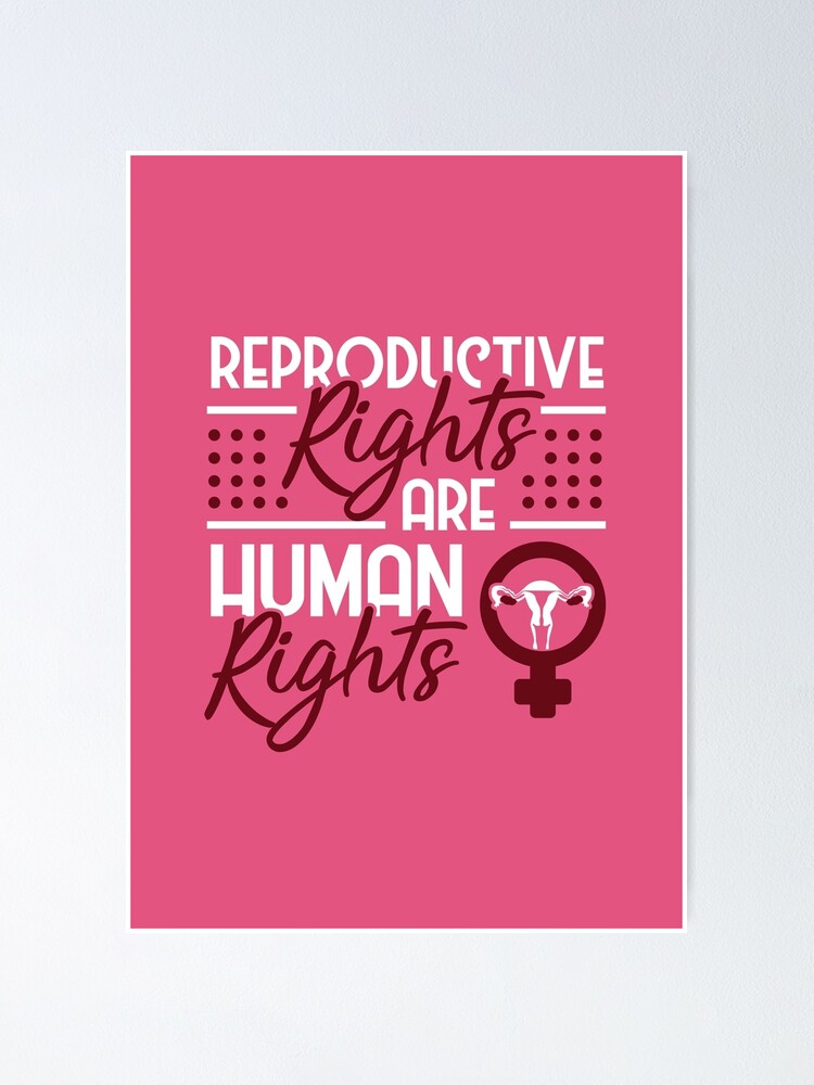 Womens Rights are Human Rights Sign Bunny ASCII Art Feminism