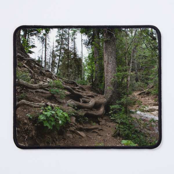 Item preview, Tree Roots on Mountainside, Colorado designed and sold by Lostlogo.