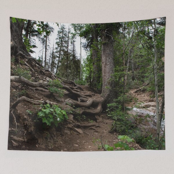 Item preview, Tree Roots on Mountainside, Colorado designed and sold by Lostlogo.