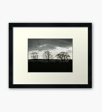 Desolate Framed Print