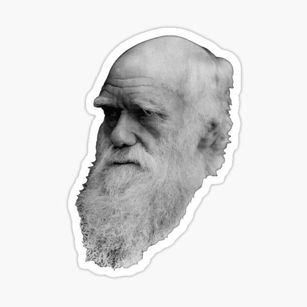 Darwin Floating Head iv (Top Quality) Sticker