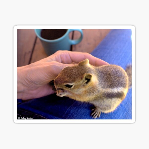 Coffee With Chippy Sticker