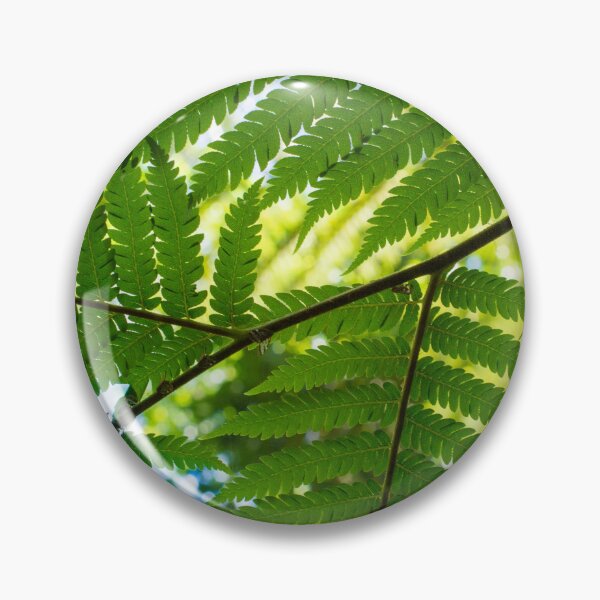 Item preview, Sunny Fern Fronds designed and sold by PhotosByFelix.