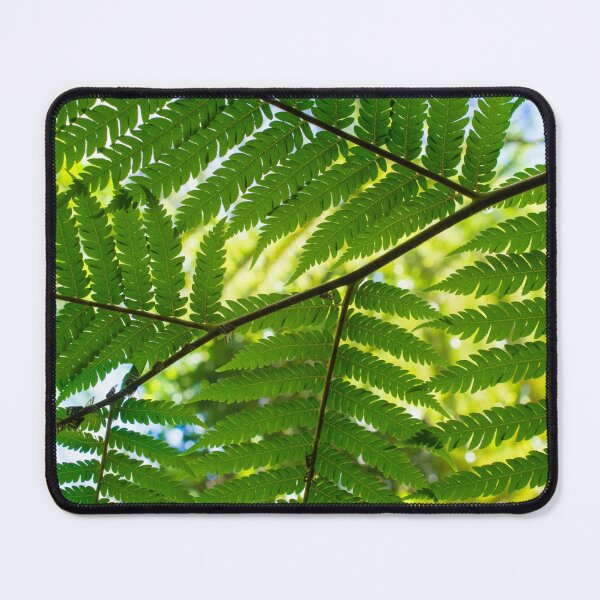 Item preview, Sunny Fern Fronds designed and sold by PhotosByFelix.