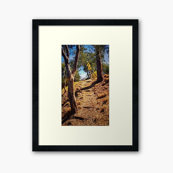 Portrait Of Australian Suburbia Framed Art Print