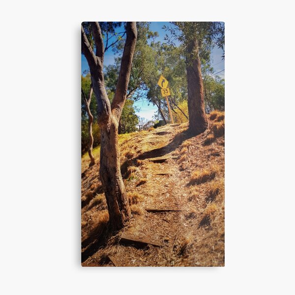 Portrait Of Australian Suburbia Metal Print