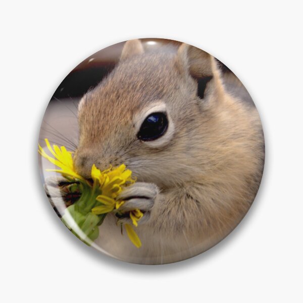 Item preview, First Dandelion   designed and sold by Betsy Seeton.