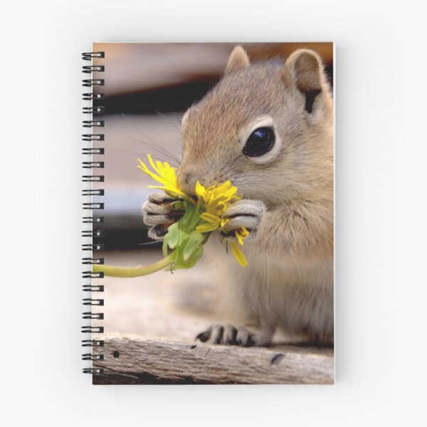 Item preview, First Dandelion   designed and sold by Betsy Seeton.