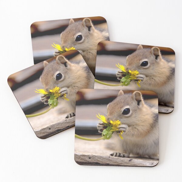 Item preview, First Dandelion   designed and sold by Betsy Seeton.