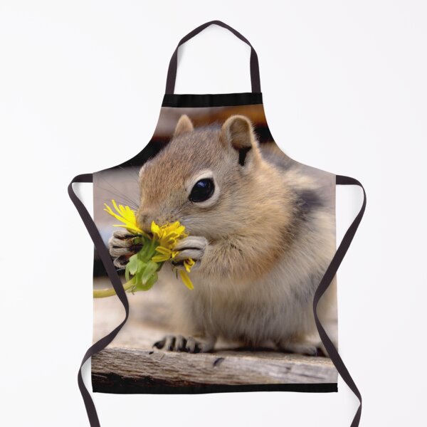 Item preview, First Dandelion designed and sold by Betsy Seeton.