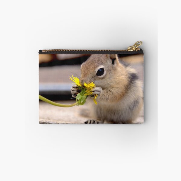 Item preview, First Dandelion   designed and sold by Betsy Seeton.