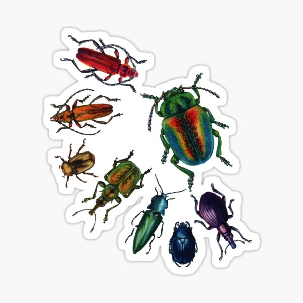 Item preview, Beetle Rainbow designed and sold by melissaroseart.