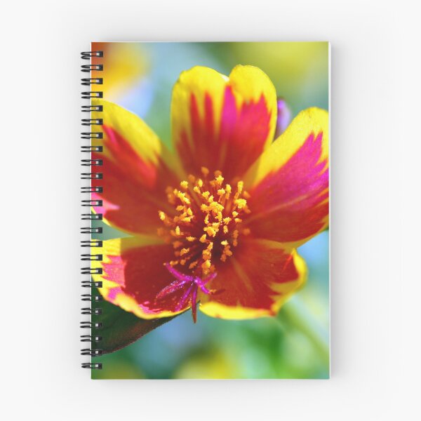 Aperçu de l'œuvre Fleur de feu rouge créée et vendue par PsychoAlien.com.