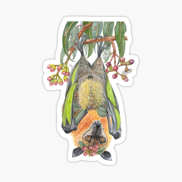 Item preview, Grey headed Fruit Bat designed and sold by Nature in Tasmania.