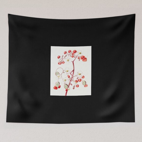 Item preview, Begonia Beautiful designed and sold by kobrynp.