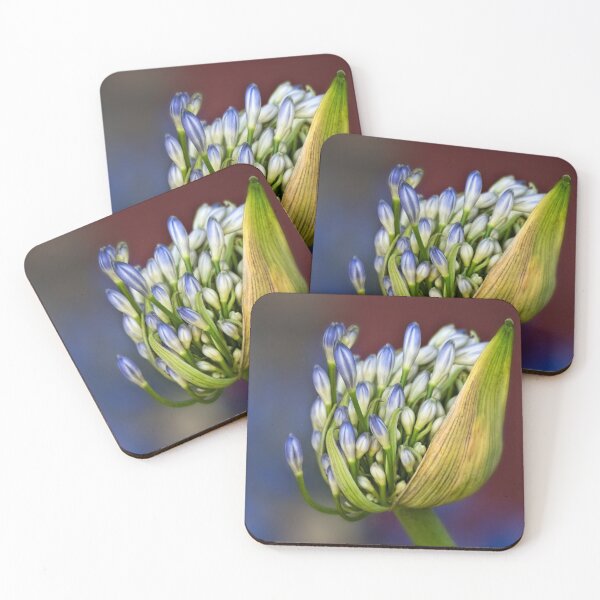 Item preview, Agapanthus buds designed and sold by Art in Nature.