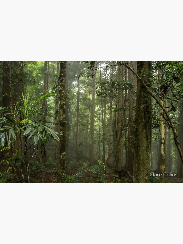 Thumbnail 3 of 3, Poster, Lost in the Forest designed and sold by colinsart.
