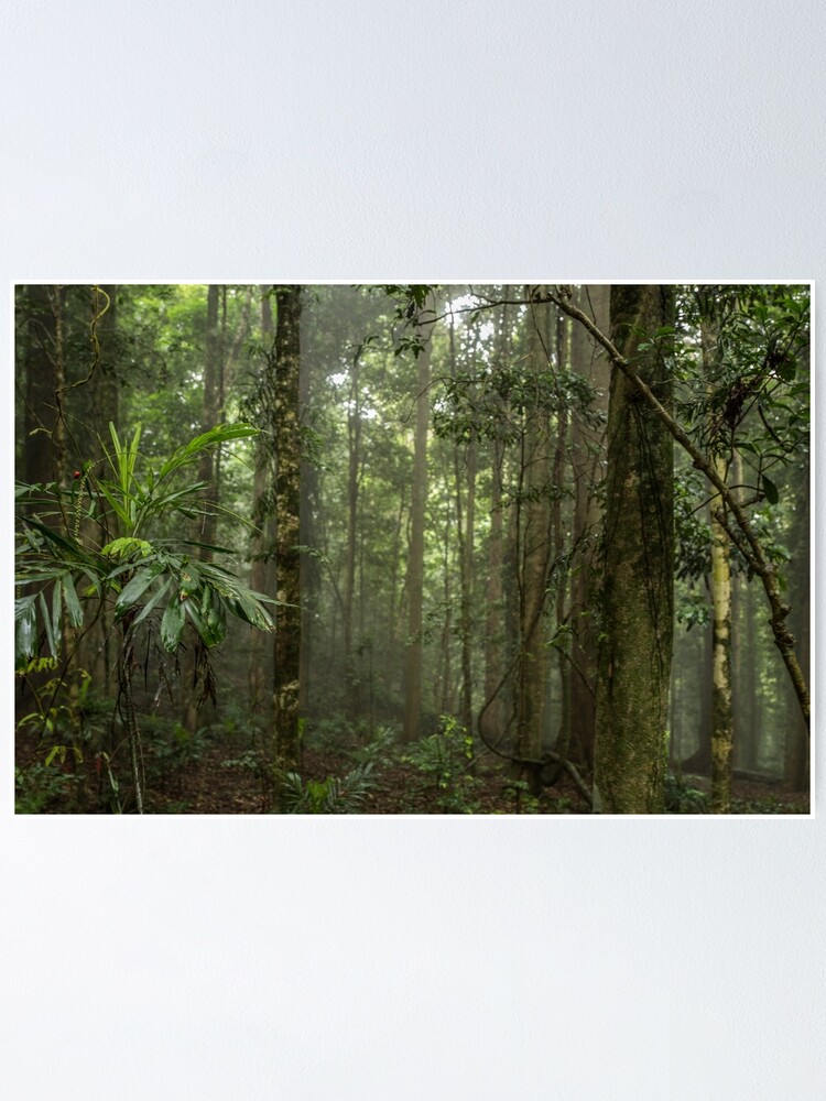 Thumbnail 1 of 3, Poster, Lost in the Forest designed and sold by colinsart.