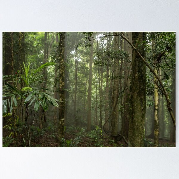 Item preview, Lost in the Forest designed and sold by Clare Colins.