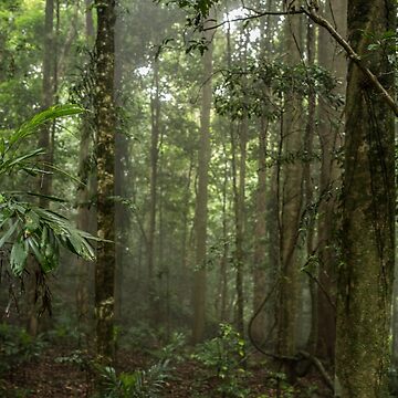 Artwork thumbnail, Lost in the Forest by Clare Colins