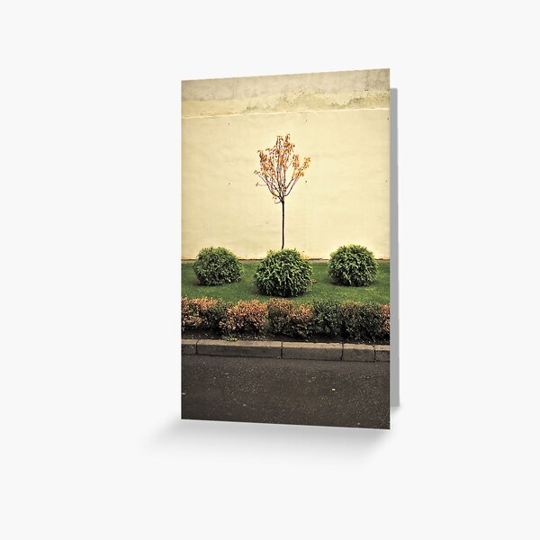 Bushes and the tree... Greeting Card
