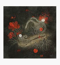 Anemoni Photographic Print