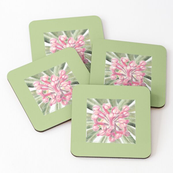 Item preview, Waratah  designed and sold by DoraBlackwood.