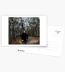 Belgium Forest Postcards