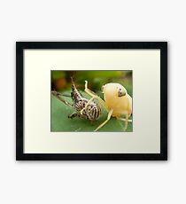 new beginnings Framed Print