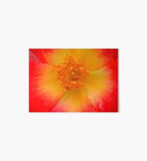 Macro flower Art Board