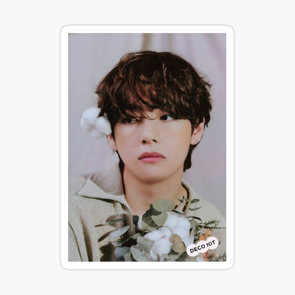 Bts V /Taehyung Deco Kit