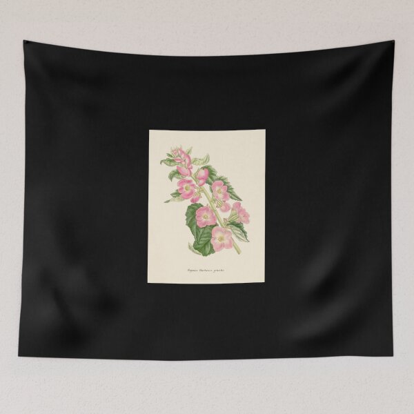 Item preview, Begonia Gracilis designed and sold by espreetrei.