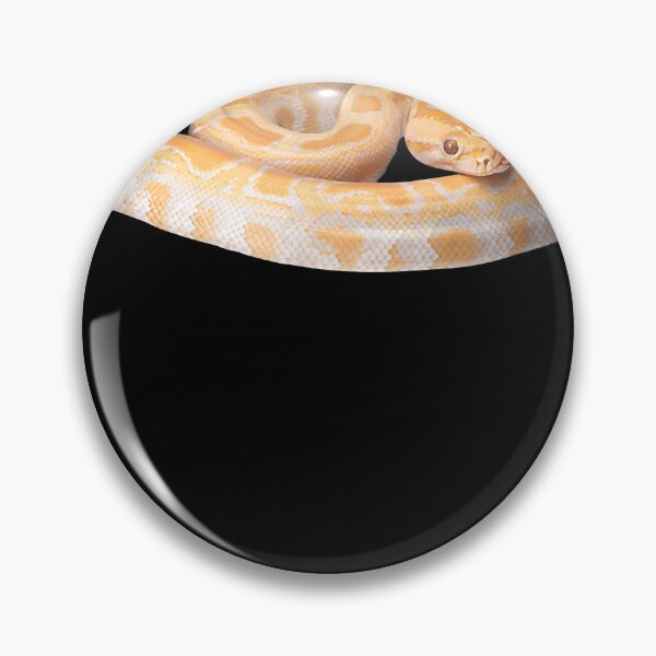 Item preview, Albino Burmese Python  en Python Snake 100 designed and sold by hegwerccmaitenh.