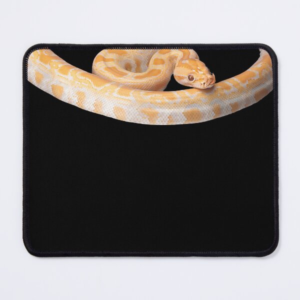 Item preview, Albino Burmese Python  en Python Snake 100 designed and sold by hegwerccmaitenh.