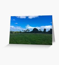 Sheep On One Tree Hill Greeting Card