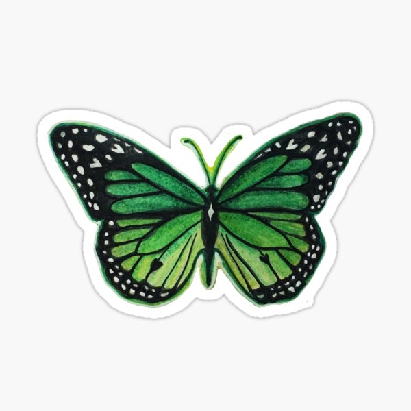Item preview, Realistic green butterfly designed and sold by sarahbrockart.